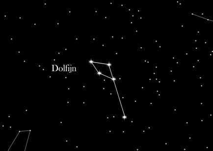 Constellation Dolphin